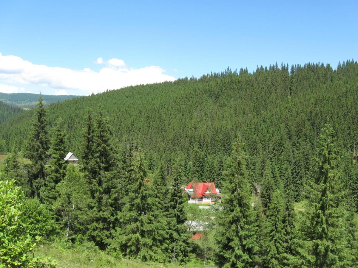 Podina Guest House Poiana Horea Luaran gambar