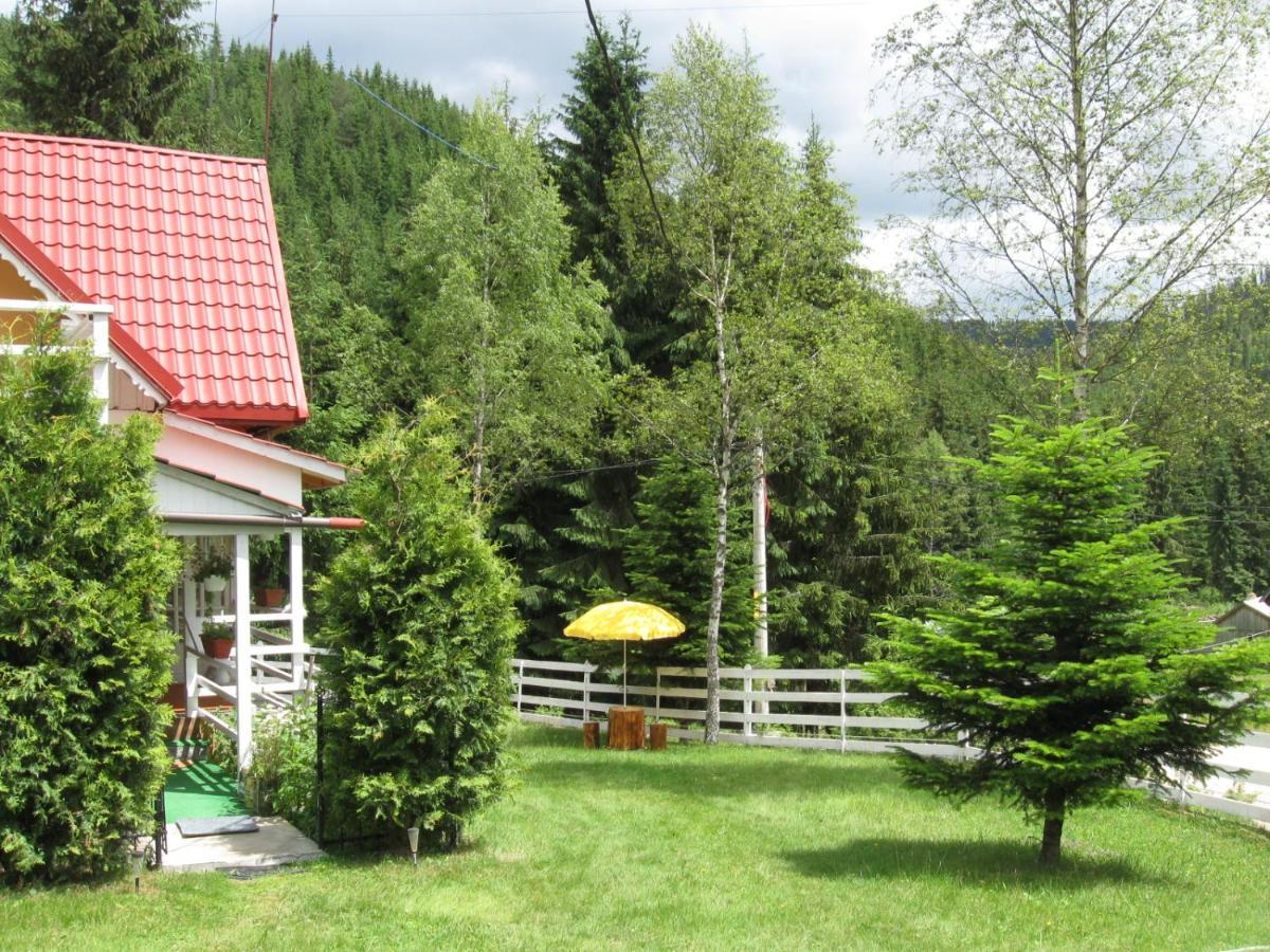 Podina Guest House Poiana Horea Luaran gambar