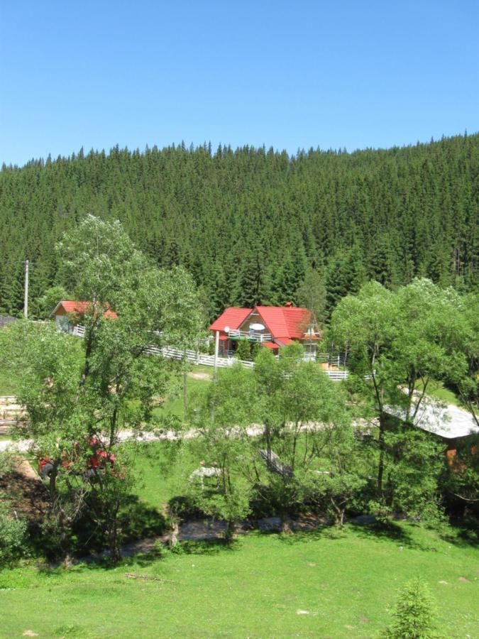Podina Guest House Poiana Horea Luaran gambar