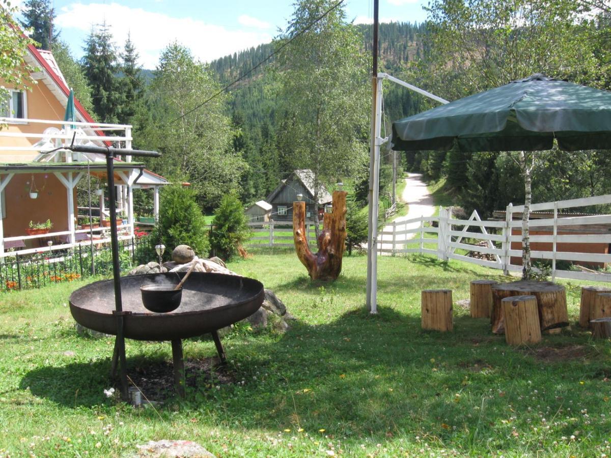 Podina Guest House Poiana Horea Luaran gambar